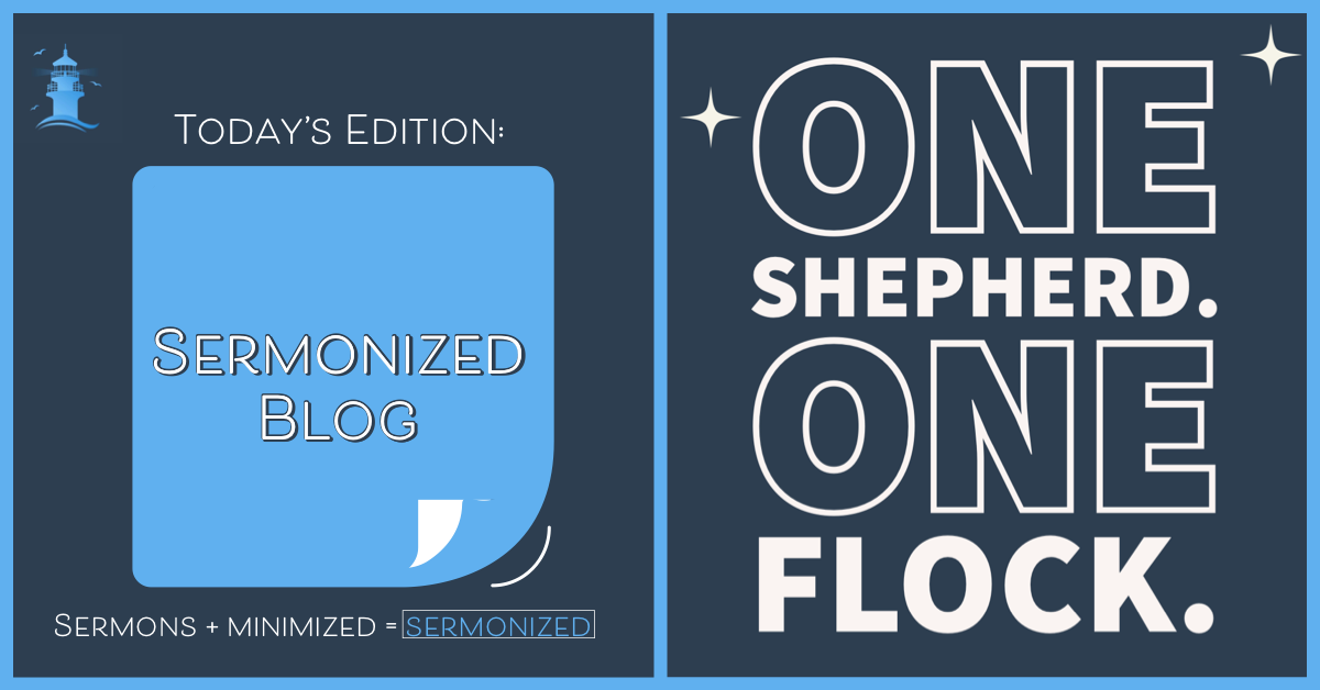 One Shepherd One Flock
